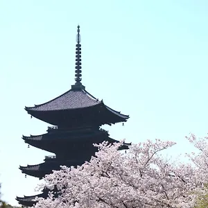 Sakura Tsubaki Kioto